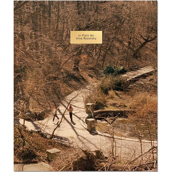 IN PLAIN AIR: Irina Rozovsky: 9781913620172: Amazon.com: Books